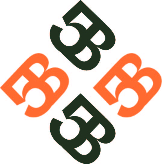 5Bridges BV